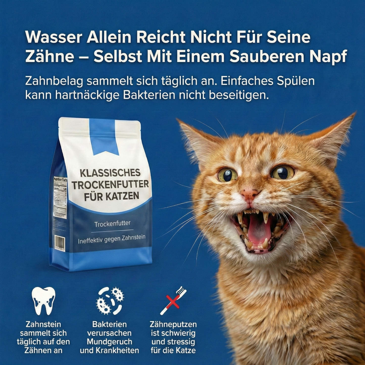 Dentallösung+ – Zahnpflege-Mittel für Katzen