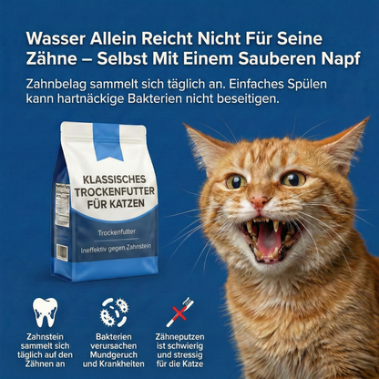 Dentallösung+ – Zahnpflege-Mittel für Katzen