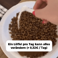 PureTaurine+ – Die Nr. 1 Empfehlung von Tierärzten