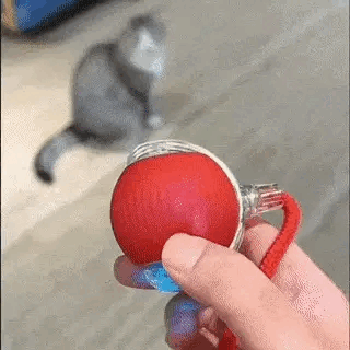 Interaktives Spielzeug