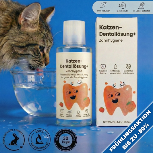 Dentallösung+ – Zahnpflege-Mittel für Katzen