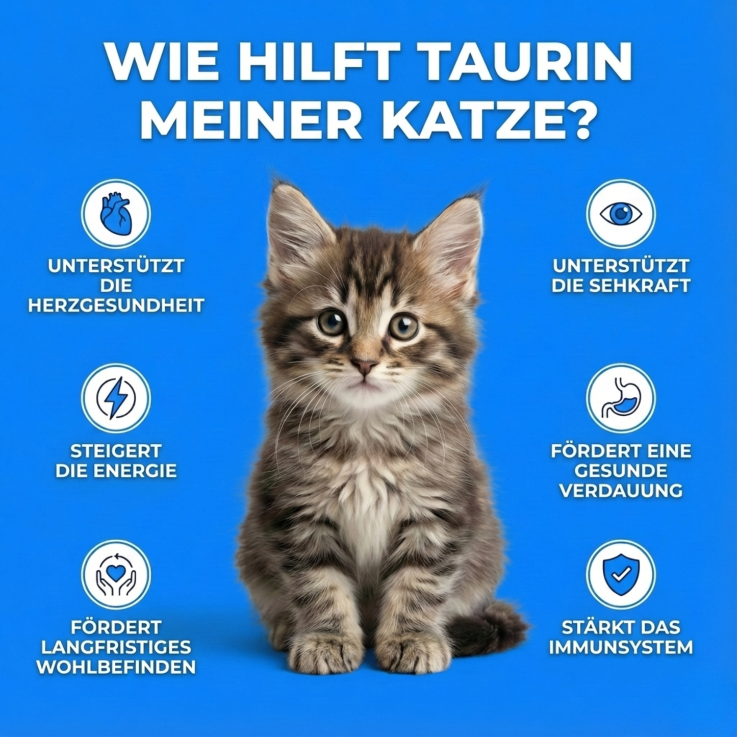 PureTaurine+ – Die Nr. 1 Empfehlung von Tierärzten