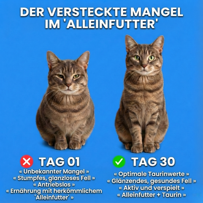 PureTaurine+ – Die Nr. 1 Empfehlung von Tierärzten