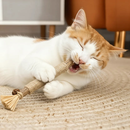 3x Zahnpflege-Kaustangen