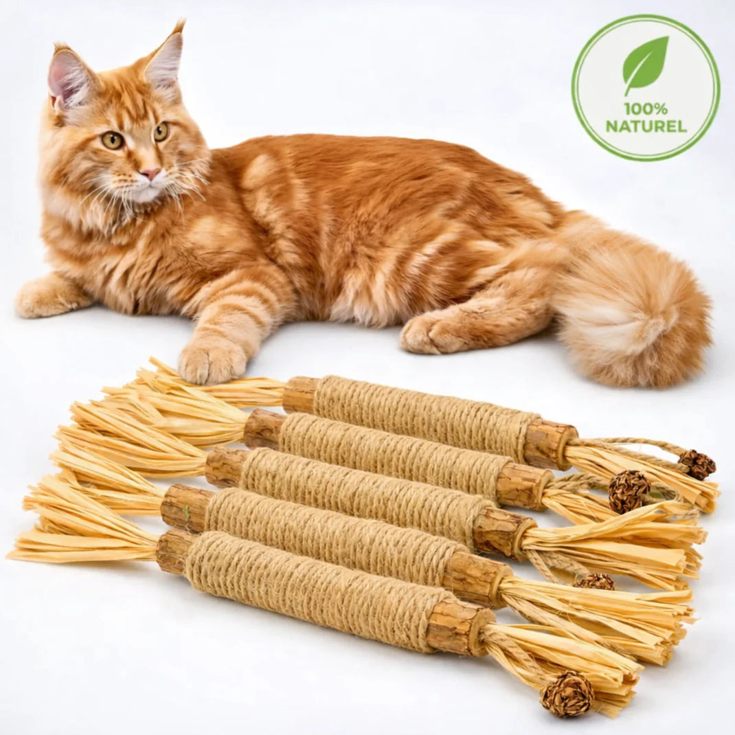 3x Zahnpflege-Kaustangen