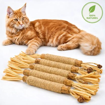 3x Zahnpflege-Kaustangen