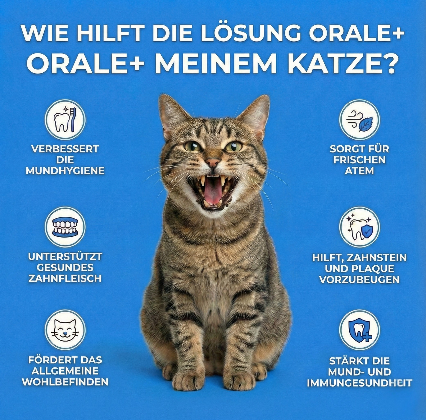 Dentallösung+ – Zahnpflege-Mittel für Katzen